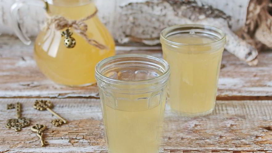 Рецепт березового кваса без дрожжей