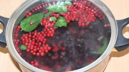 Рецепт домашнего кваса на смородине