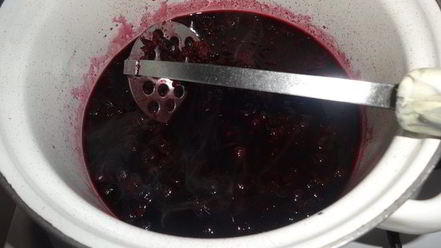 Рецепт кваса из аронии