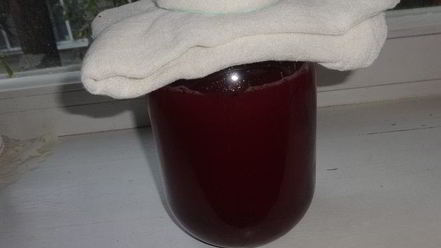 Рецепт кваса из аронии