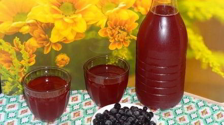 Рецепт кваса из аронии