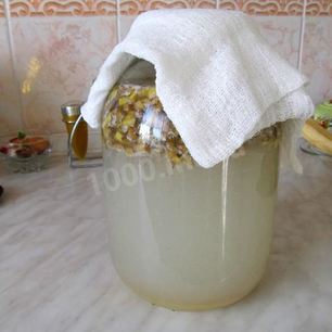 Рецепт Кваса из березового сока с сухофруктами