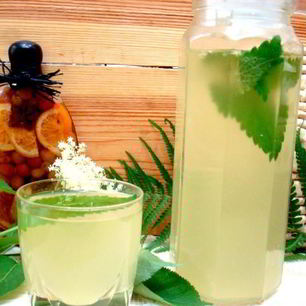 Рецепт Кваса из бузины