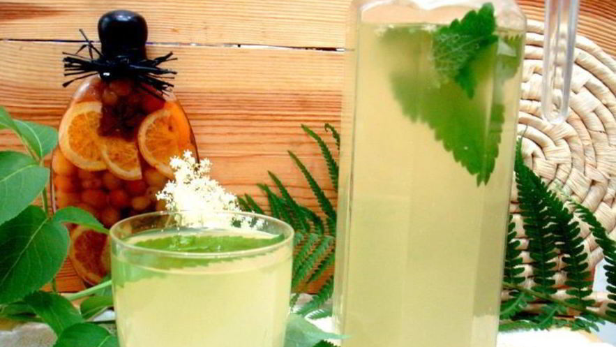 Рецепт кваса из бузины