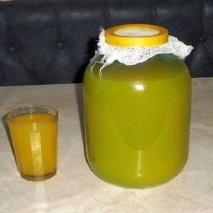 Рецепт Кваса из чистотела