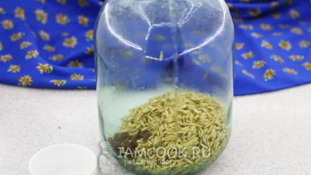 Рецепт кваса из овса