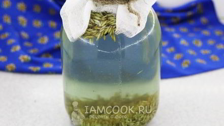 Рецепт кваса из овса