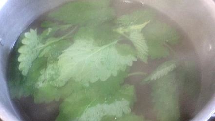 Рецепт кваса из ревеня