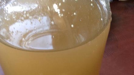 Рецепт кваса из ревеня