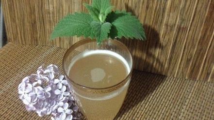 Рецепт кваса из ревеня