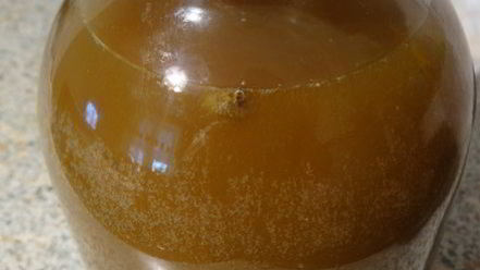 Рецепт кваса из сусла