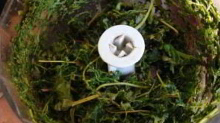 Рецепт кваса из виноградных листьев