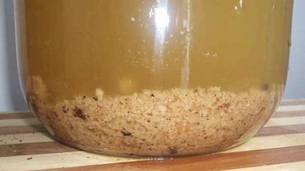 Рецепт кваса на хлебе