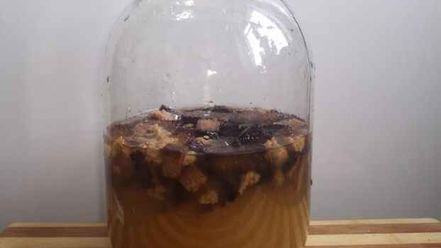 Рецепт кваса на хлебе