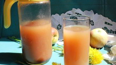 Рецепт кваса на яблочном соке