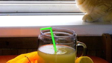 Рецепт медового кваса