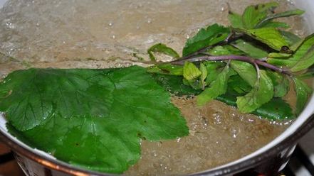 Рецепт смородинового кваса