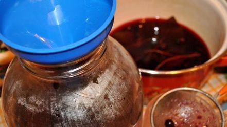 Рецепт смородинового кваса