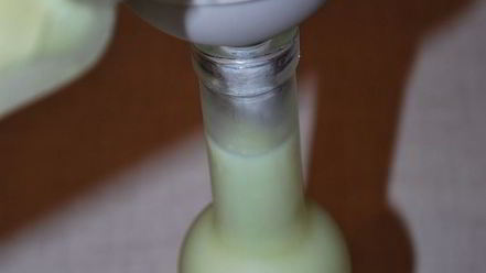 Рецепт крема-ликера limoncino