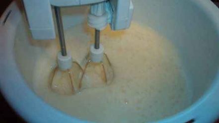 Рецепт ликера дикое молоко бешеной коровки