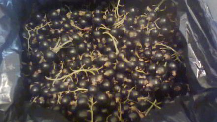 Рецепт ликера королевского