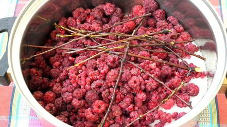 Рецепт малинового ликера