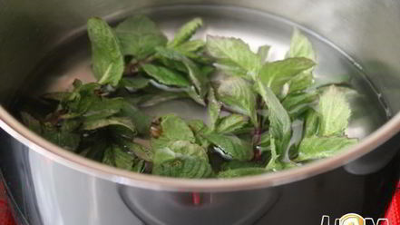 Рецепт мятного ликера