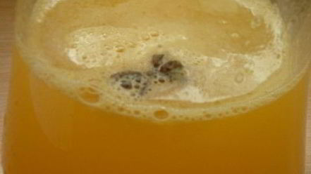 Рецепт оранчеллоликера апельсино-мандариновый