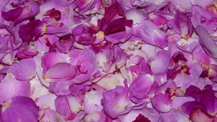 Рецепт розового ликера