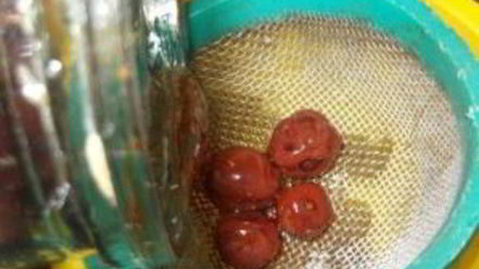 Рецепт вишневого ликера