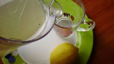 Рецепт домашнего лимонада из лимона