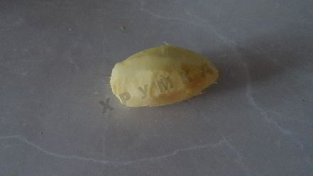 Рецепт имбирного лимонада с яблоками и лимонами