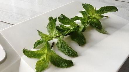 Рецепт лимонада с мятой и лаймом