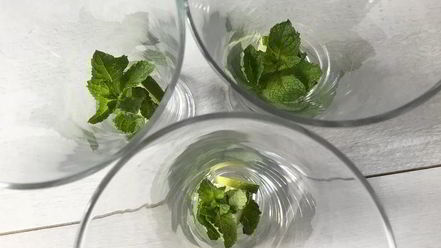 Рецепт лимонада с мятой и лаймом