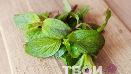 Рецепт лимонада с мятой