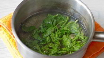 Рецепт мятного лимонада