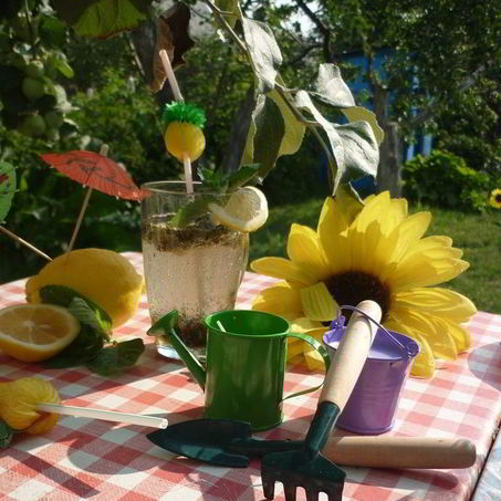 Рецепт Дачного Мохито