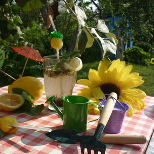 Рецепт Дачного Мохито