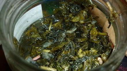 Рецепт дачного мохито