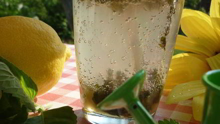 Рецепт дачного мохито