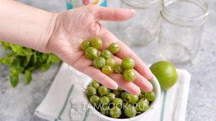 Рецепт мохито из крыжовника