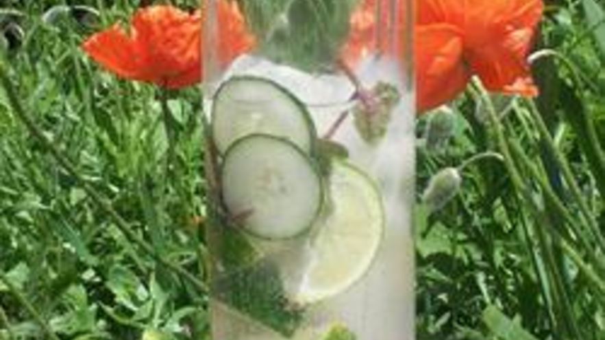 Рецепт мохито с мятой и свежим огурцом