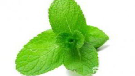 Рецепт тыквенного мохито