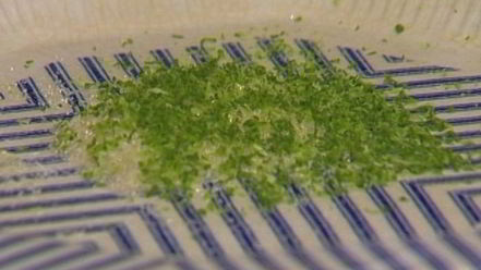 Рецепт молочного коктейля с манго