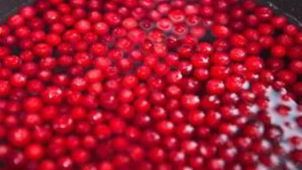 Рецепт брусничного морса с медом