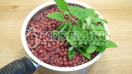 Рецепт брусничного морса с мятой