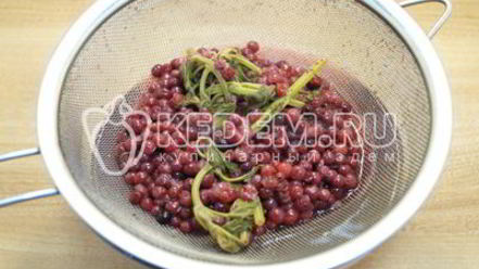 Рецепт брусничного морса с мятой