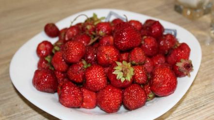 Рецепт клубничного морса из клубники