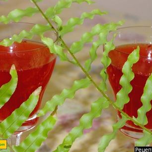 Рецепт Клюквенного морса из замороженной клюквы