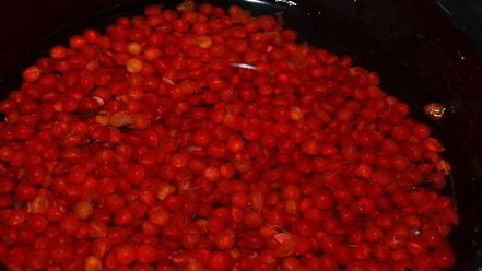 Рецепт морса из калины